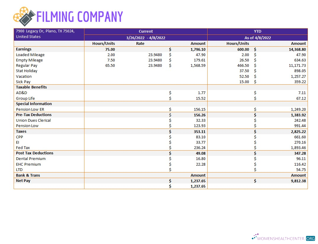 Download Filming company pay stub template in Word and PDF formats Photoshop template
